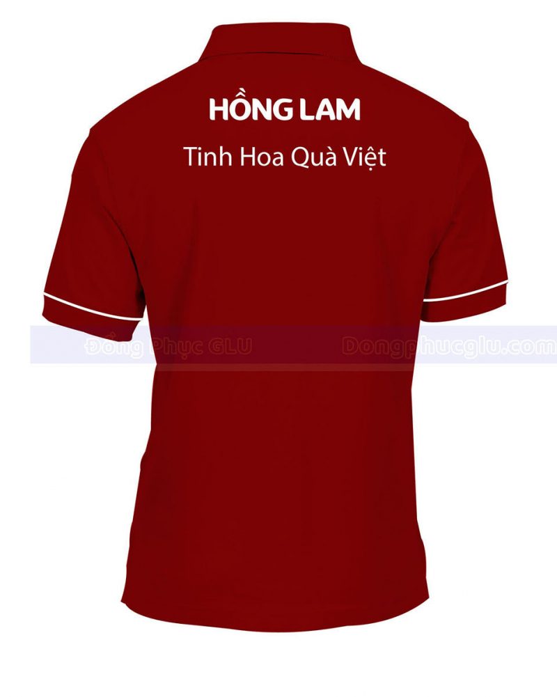AT HONG LAM 2 MSAT217