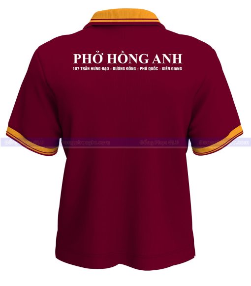 AT PHO HONG ANH MSATCT488