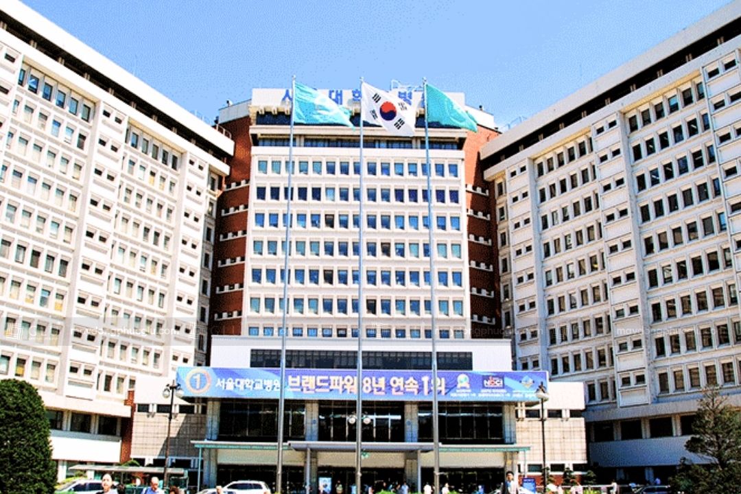 Đồng phục trường đại học quốc gia Seoul