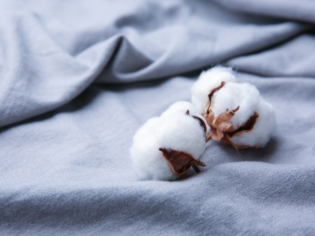 Vải Supima Cotton